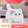 huggy-cat
